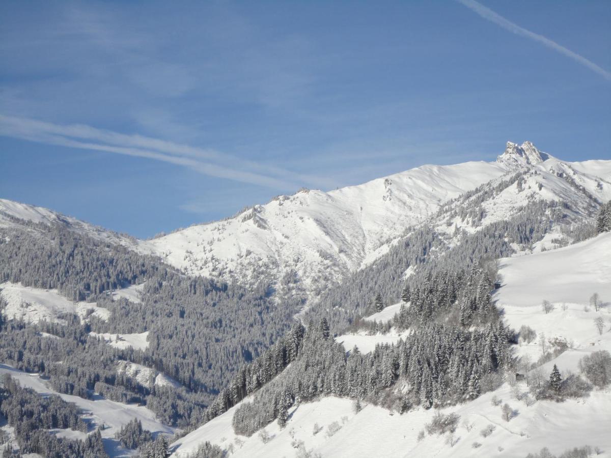 Jugendhotel Gruber Grossarl Extérieur photo